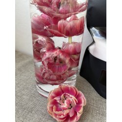 Vandperler 10g - 400 stk.